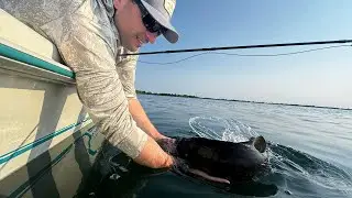 Southern Ontario Fly Fishing Forecast - August 13th