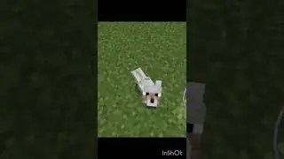 a sua m&atilde;e e uma cachorra #minecraft #meme #cachorro #viral