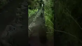 #DirtySouth