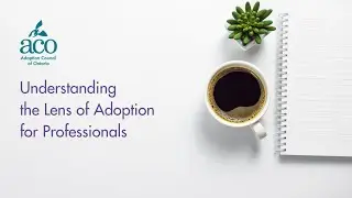 Understanding the Lens of Adoption for Professionals