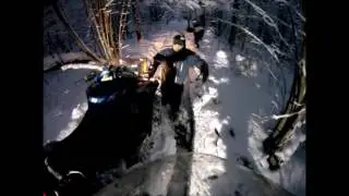 500  ки рвут лосиную!
