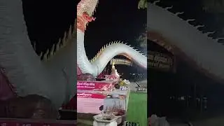ถวายไข่ให้ได้โชคใหญ่ต่อไปอีก
