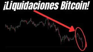 El VERDADERO MOTIVO detrás de las 