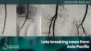 Late breaking news from Asia Pacific - PVI 2025