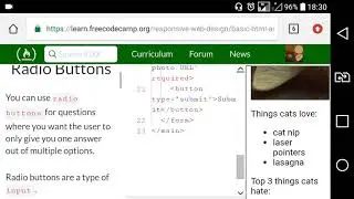 Basic HTML and HTML5 part22: Create a Set of Radio Buttons