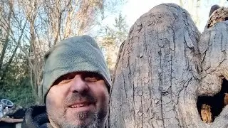 😮🙀🔥How to turn a Cypress Stump into a Lamp!  Hit the Bell icon ! #subscribe #lamp #howtomake  #s