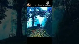 සුන්දර මඩොල්සීම 😍😍😍#youtubeshorts #chinthi #withme