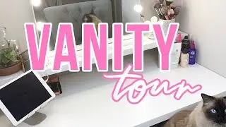 My Makeup Collection & Storage 2019!