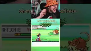 My First EVER Safari Week Shiny!! Raticate at 278 Encounters in SoulSilver! 🐭✨#pokemon #shinypokemon