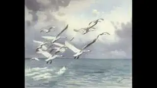 Зоя ВИНОГРАДОВА - Любовь останется.wmv