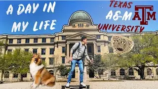 A Day in the Life at Texas A&M University