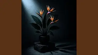 kinetic frame