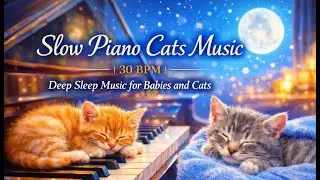 Slow Piano Music for Cats | 30 BPM | Deep Sleep Music for Babies and Cats