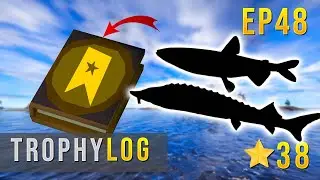 Журнал трофеев Russian Fishing 4, эпизод 48 - Эта рыба была гигантской! #rf4 #russianfishing4