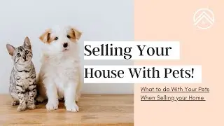 SELLING YOUR HOUSE WITH PETS! What to do With Your Pets While You Sell Your Home