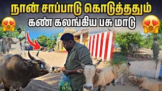 என்னுடைய கையால் சாப்பாடு கொடுத்ததும் கண் கலங்கிய பசுமாடு🥹 | அதிசயம் ஆனால் உண்மை பாருங்க மக்களே