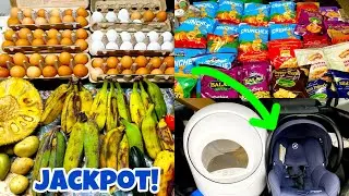 Dumpster Diving 2026 Naka Jackpot sa Car Seat, Snacks, Eggs, Saba at litter Box