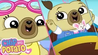 Chip and Potato | Surprise Summer Adventure! | Cartoons For Kids | Watch More on Netflix