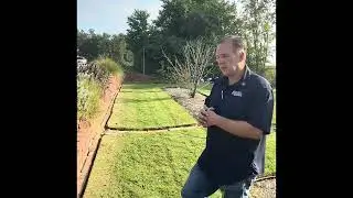 Turf Grass To-Dos in September | Easy Fall Lawn Care Guide