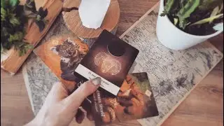 finans/para durumun 🍀 tarot a&ccedil;ılımı