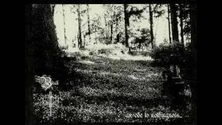 Twilight Falls - Lore From an Ancient Forest (Demo Preview)