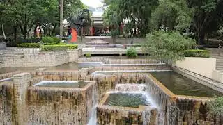 nature, natural voice, green,hk