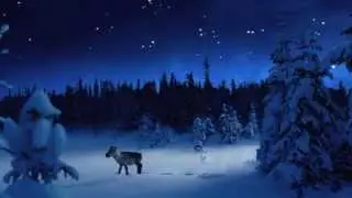 Poro ja t&auml;hti | Finnair
