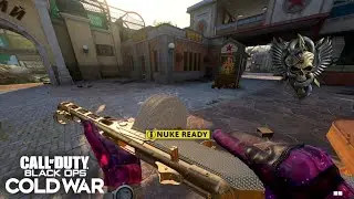 Black Ops Cold War: | PPSh-41 | Zoo NUKE Gameplay (No Commentary)