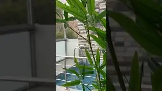 Hospedaje en churin, ideal para ir con Amigos o en Familia. Si vas a churin este sitio te gustar&aacute;💦