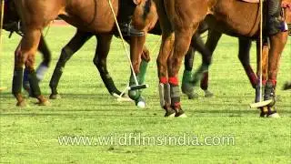Rare in Delhi- Polo Match