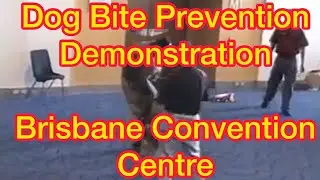 EP 15. Dog bite prevention demonstration