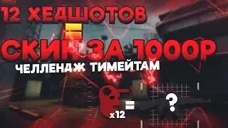 ЧЕЛЛЕНДЖ ТИММЕЙТАМ! 12 ХЕДШОТОВ=СКИН ЗА 1К! FARGO В CSGO