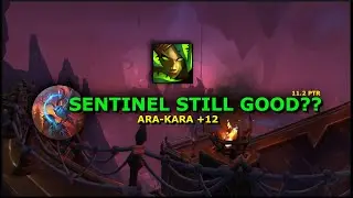 SENTINEL STILL GOOD?? - 11.2 PTR - Sentinel Survival Hunter - Ara Kara +10