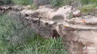 VARIE SCOPERTE MONTE SIRAI - CARBONIA