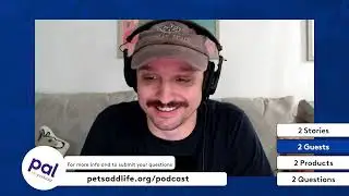 73. Dogs with Super Noses, Pet Industry Insights & Sailing Cats