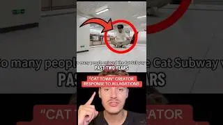CAT TOWN MCDONALDS CONTROVERSY 😳