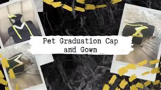 Pet Graduation Cap and Gown Costume for Hedgehogs and Small Animals