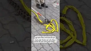 Snake was safely rescued and released in open nature by Surat Fire Department and Affort team!