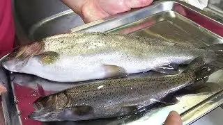【川魚】珍しい？ニジマスのお寿司とは…