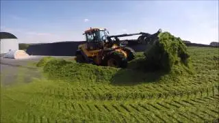 Grünroggen Häckseln 2016