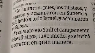 1 Samuel 28-29 