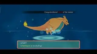 Evolving my charizard into mega charizard y|Monster honor fight