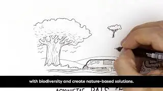 CENIBRA BioSustainability