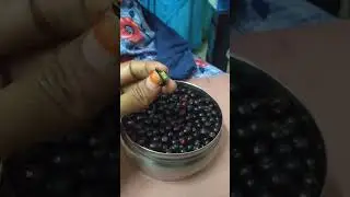 சூரப் பழம்|sura pazham