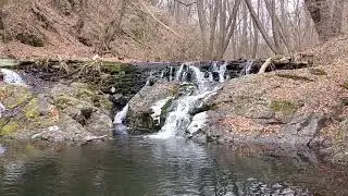 Brestovačka reka