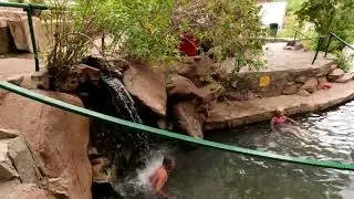 Termas de Fiambala