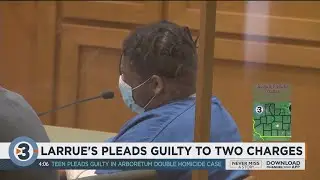 Teen pleads guilty in Arboretum double homicide case