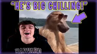 BdayReacts To Funny Reddit Memes #4!