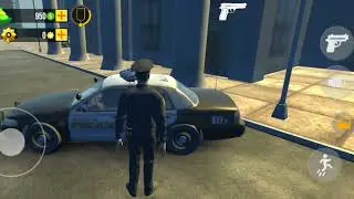 I Did Police Duty