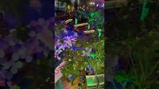 Green Leaf #viralvideo #greenleaf #restaurant #foodie #viralvideo